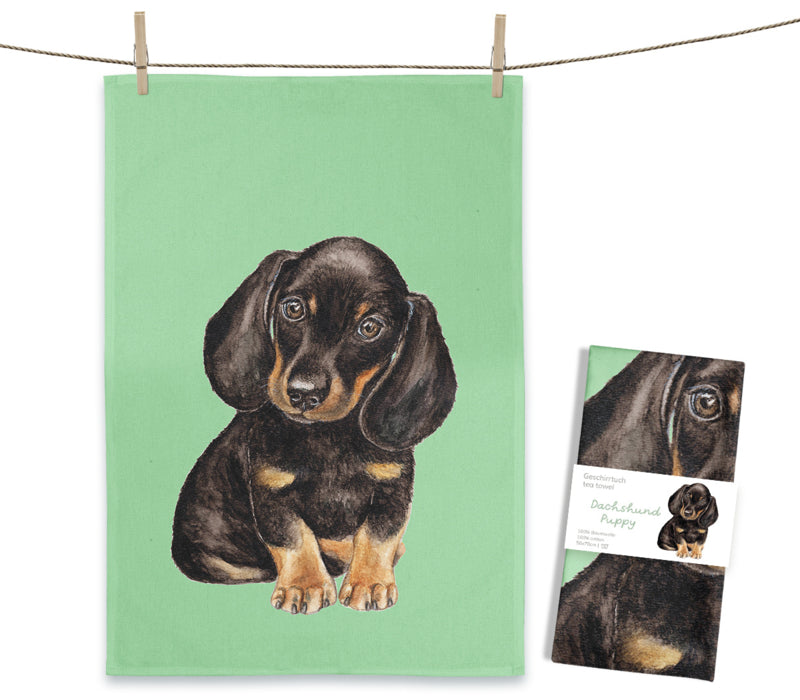 Maluu Dachshund Puppy - Theedoek Teckel