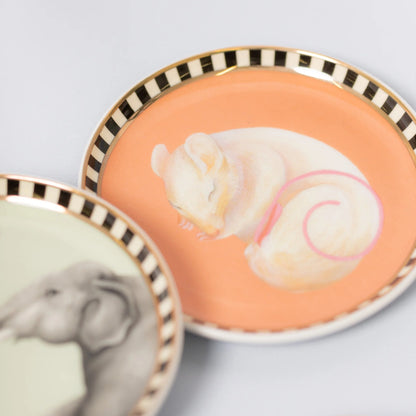 Yvonne Ellen London - Coasters - Animals