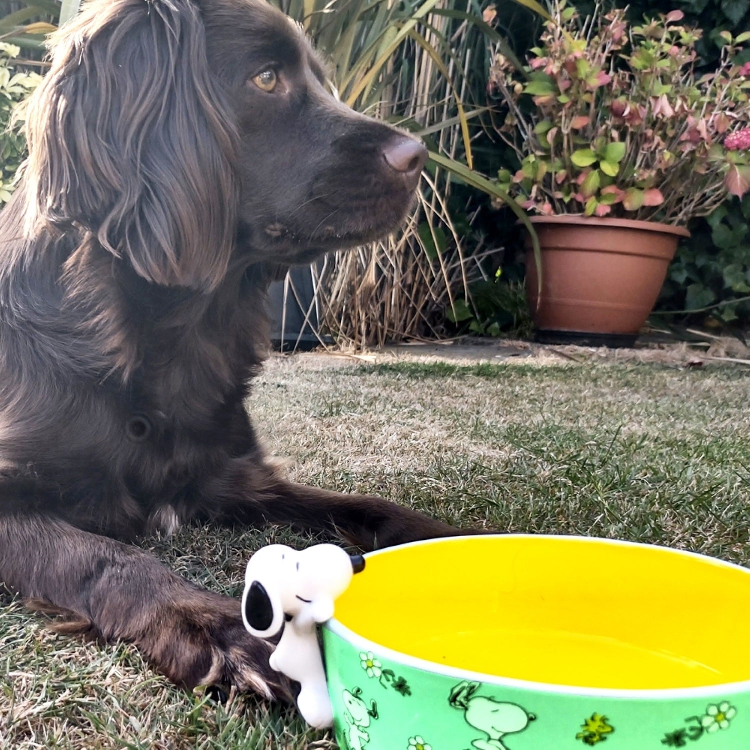 House of Disaster "Snoopy" Peanuts - Voerbak Honden