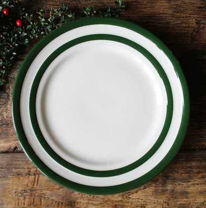 Cornishware Adder Green dinerbord - ⌀28cm