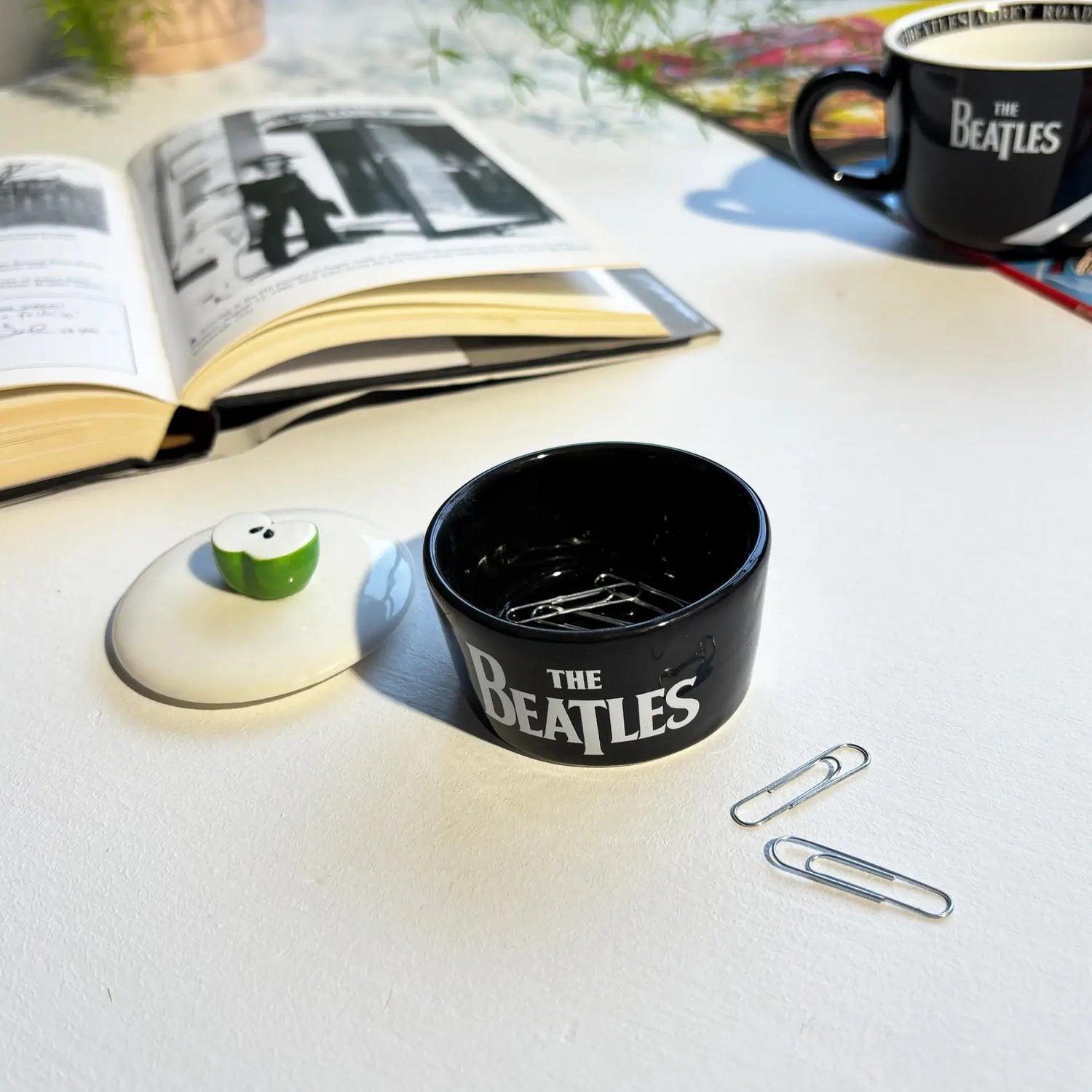 Sfeer foto voorraadpotje zwart wit met groene 3D appel met paperclips The Beatles