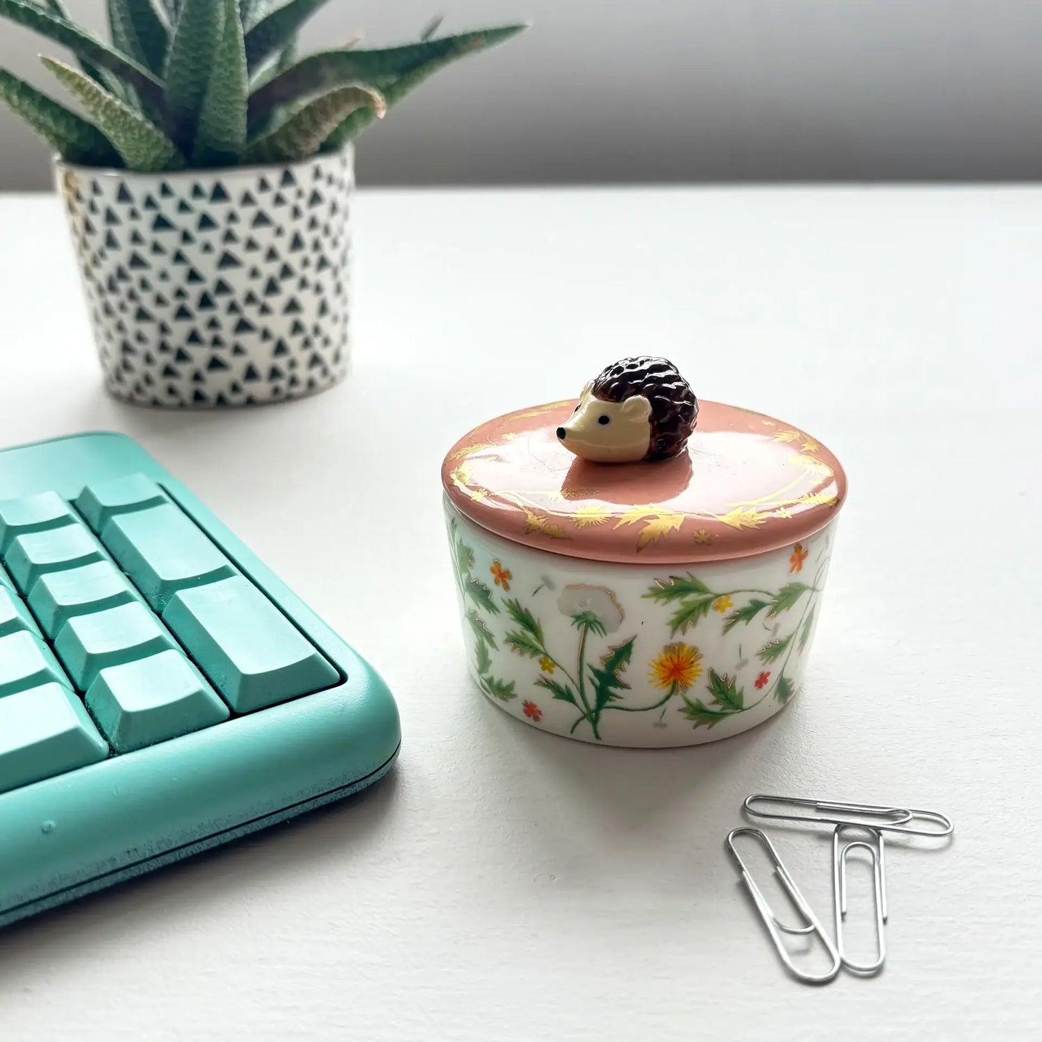 SFeer foto voorraadpotje egel op bureau