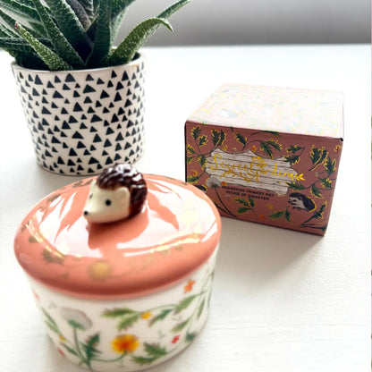 Cadeaudoos voorraadpotje Egel house of Disaster